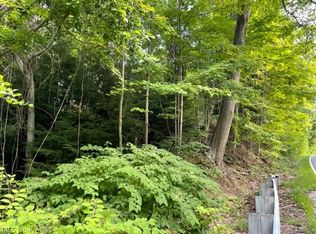 Leroy Thompson Rd, Thompson, OH 44086