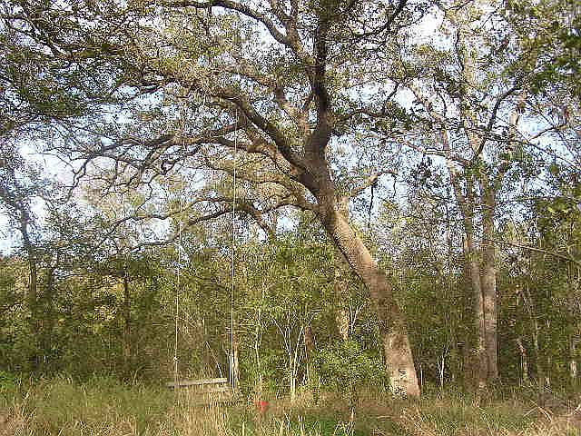 2nd image of 2932 Fm 713