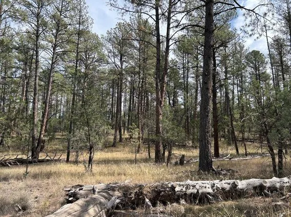 Pine Rd, Timberon, NM 88350