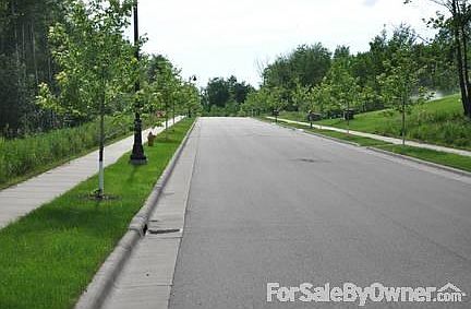 View of White Pine Street.