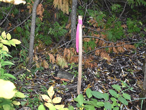 5th image of V/l 209ac Butler Rd