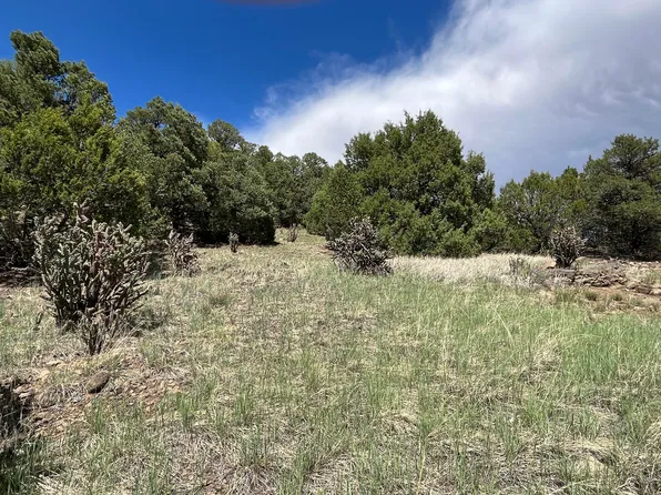Ponderosa Trl Lot 10, Trinidad, CO 81082