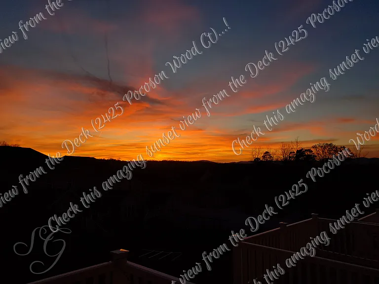 2425 Pocoson Wood Ct — Photo 19