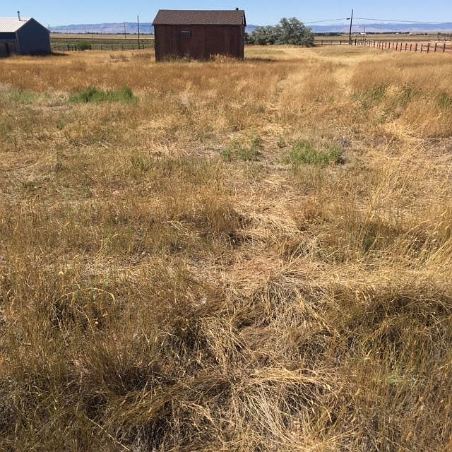 1st image of 90 Gros Ventre St