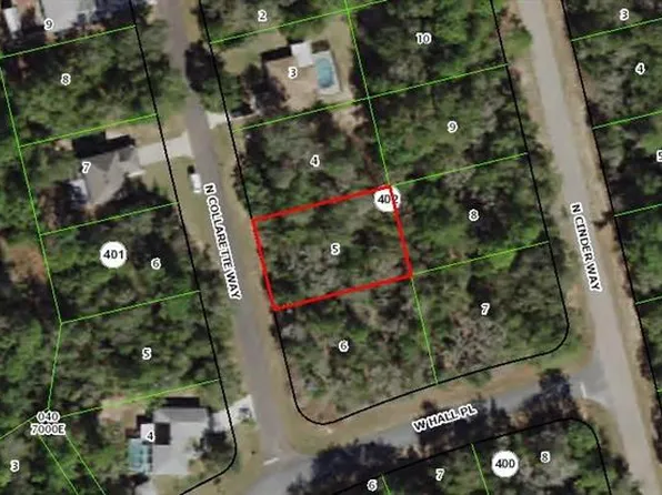 8655 N Collarette Way, Citrus Springs, FL 34434