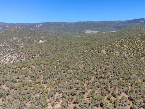 TBD Mystic Mesa Road, Hotchkiss, CO 81419