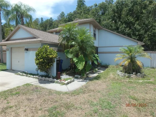 5947 BIRCHWOOD DRIVE, TAMPA, FL 33625