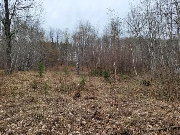 S Sand Ln, Phelps, WI 54554