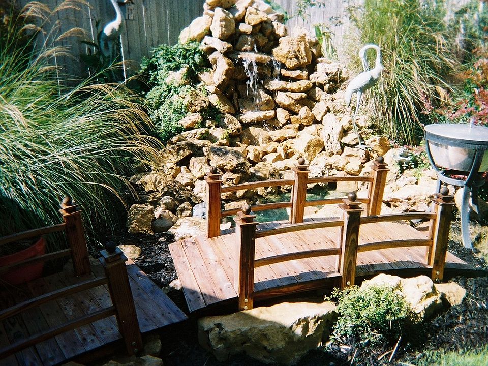 gold fish pond and waterfall