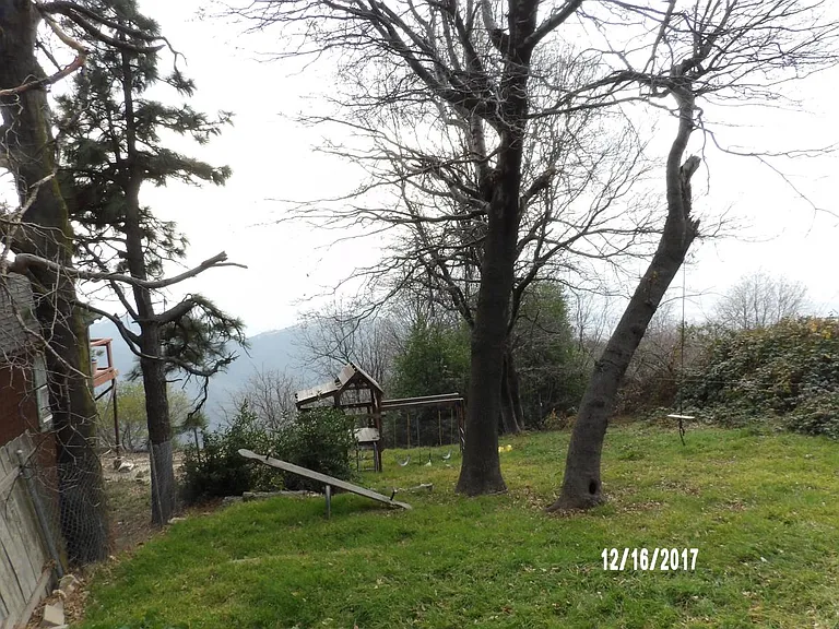 REAR YARD