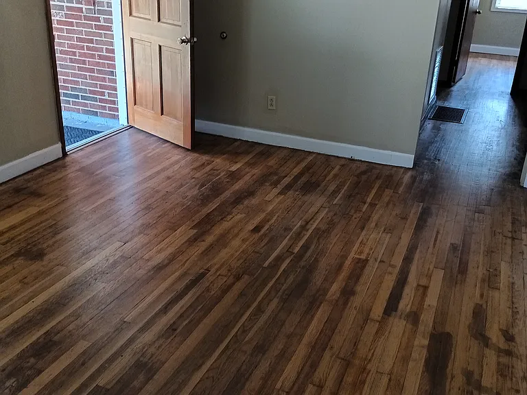Pine Dr — Photo 10