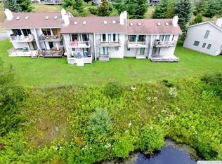 24 Loo Bridge Ln, Windham, NY 12496