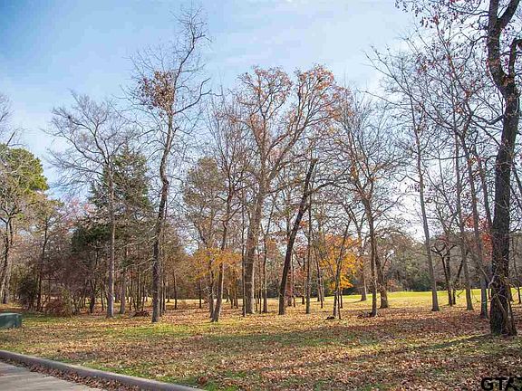 4th image of 183 S Eagles Bluff Blvd