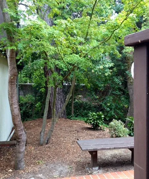 917 Hough Ave #9 — Photo 5