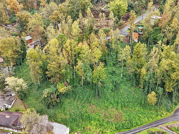5th image of 91 Silverbell Heights Ln