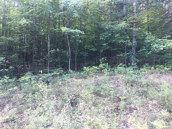 5th image of Forest Hills Dr