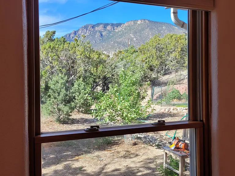 View from north window