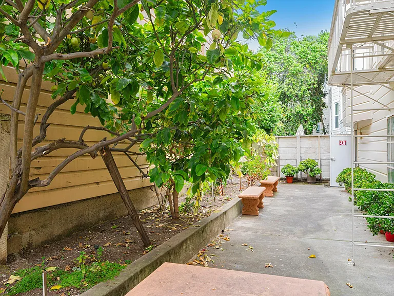 3350 Octavia St #1 — Photo 19