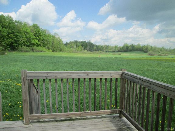 View from the living room