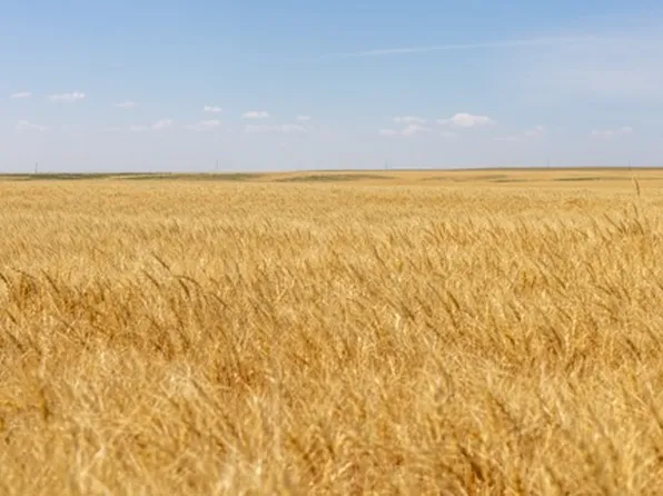 S Road 90 Chester, Inverness, MT 59530