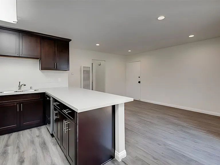 Gourmet kitchen and living room area with storage closet