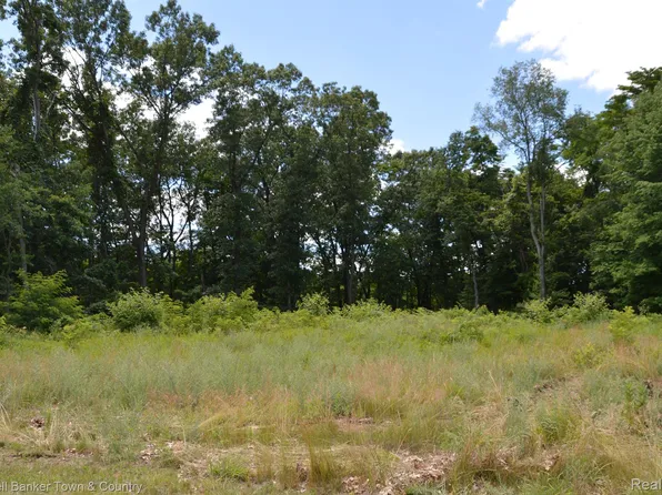 16240 Catalpa Ridge Dr, Holly, MI 48442
