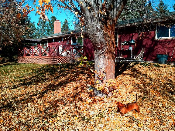 Backyard in autumn