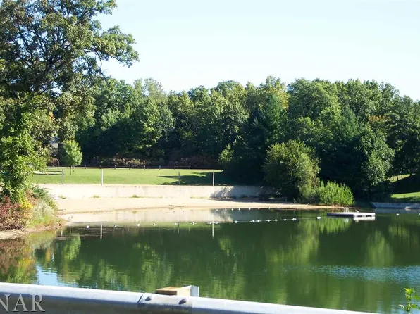 3 King James Rd, Mackinaw, IL 61755