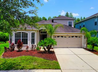 4332 Waterville Ave, Wesley Chapel, FL 33543