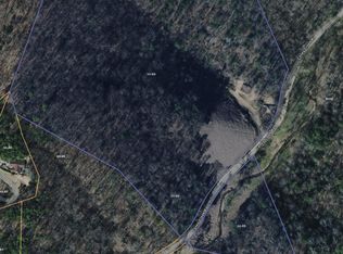 206 Caney Creek Rd, Pigeon Forge, TN 37863