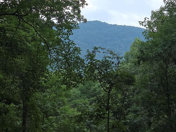3rd image of 150 Trail Tree Dr