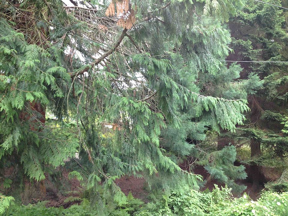 2nd image of 10425 8th Ave NE