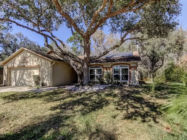 1795 Bayhill Dr, Oldsmar, FL 34677