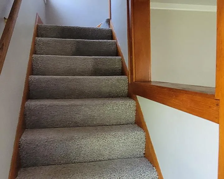 3516 Homewood Ave — Photo 11