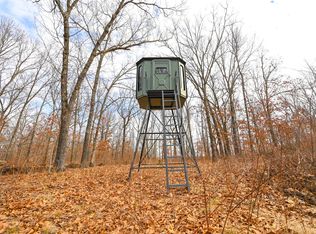 32813 County Road 40, Cross Timbers, MO 65634