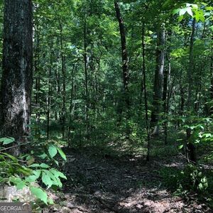 843/843A Glades Rd NW, Eatonton, GA, 31024