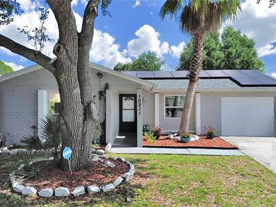 10211 Wexford Ct, Tampa, FL, 33615