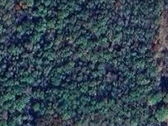 5th image of Unk Polk Rd #293