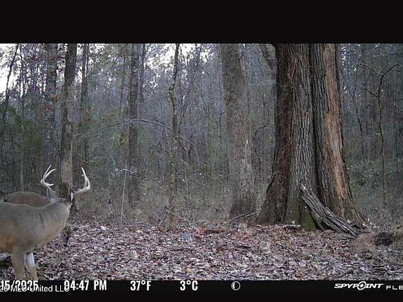 3rd image of Swamp Rd Lot A-e