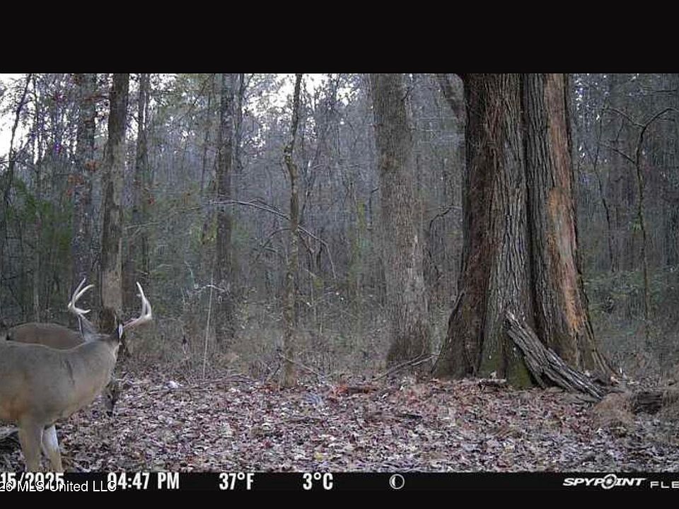 1st image of Swamp Rd Lot A-e