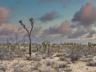 1435 Jemez Trl, Yucca Valley, CA, 92284