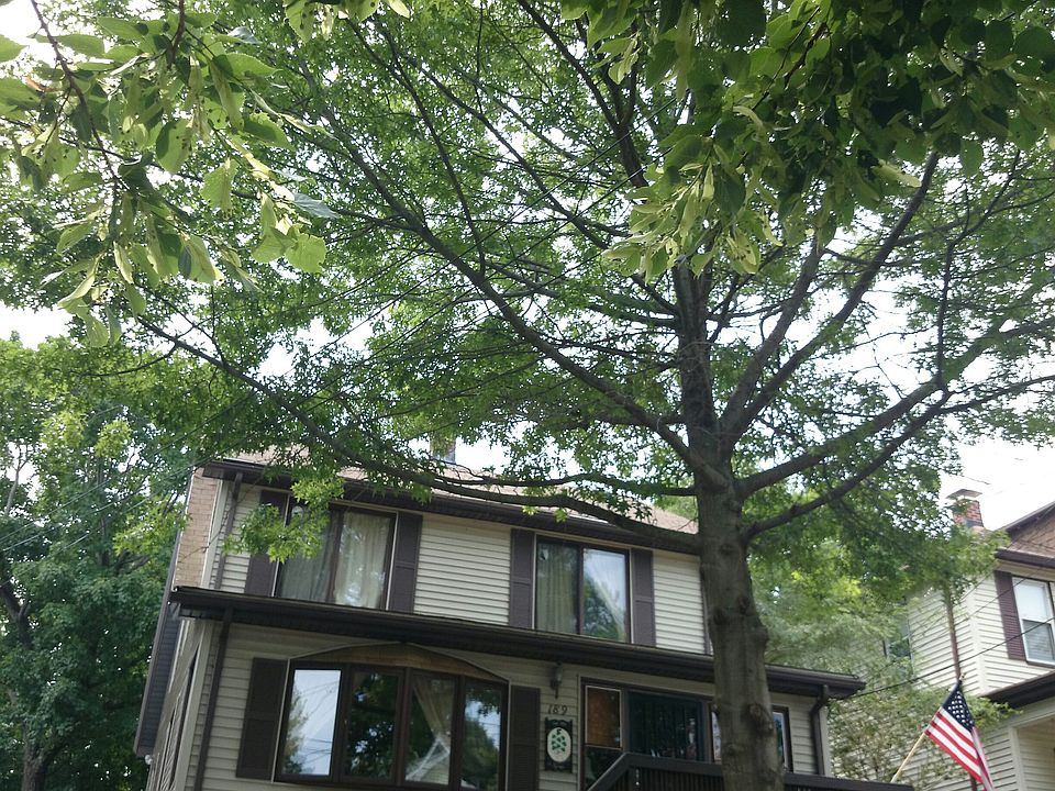 2nd image of 189 Milton St