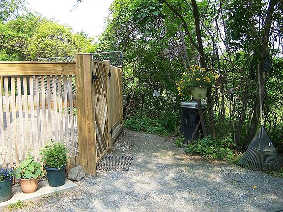 bird area, to dog yard