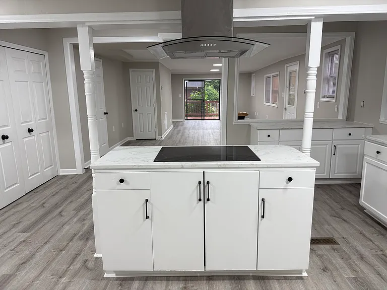 Kitchen area - Cook top & vent hood