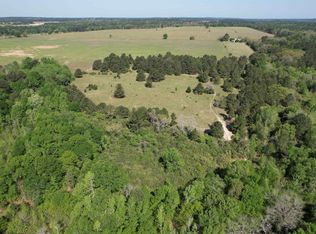 2954 County Road 2170, Grapeland, TX 75844