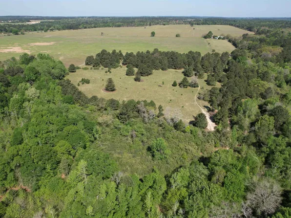 2954 County Road 2170, Grapeland, TX 75844