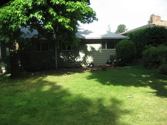 back yard