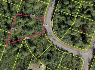 Fisher Way Trak LOT 28, Ocklawaha, FL 32179