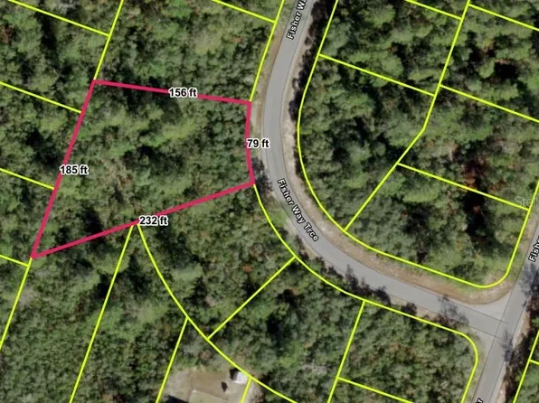 FISHER WAY TRACK LOT 28, OCKLAWAHA, FL 32179