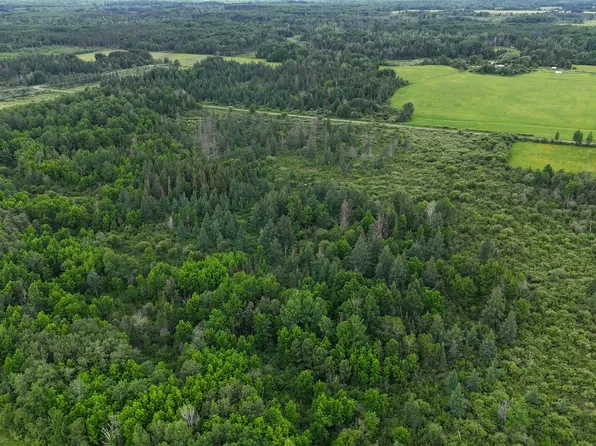 8xxx Townline Rd, Forbes, MN 55738